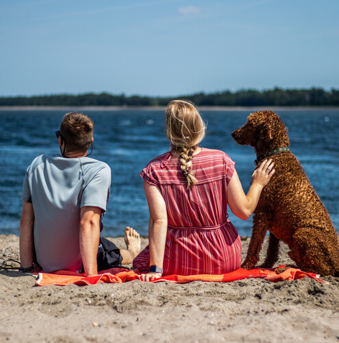 Paw-some Places: Your guide to dog-friendly places in the Chaleur Region