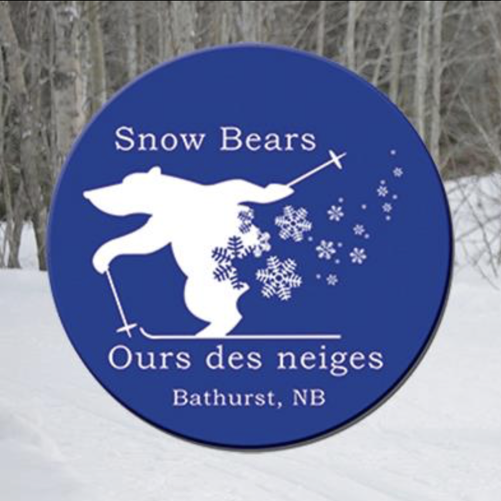 Snow Bears Loppet