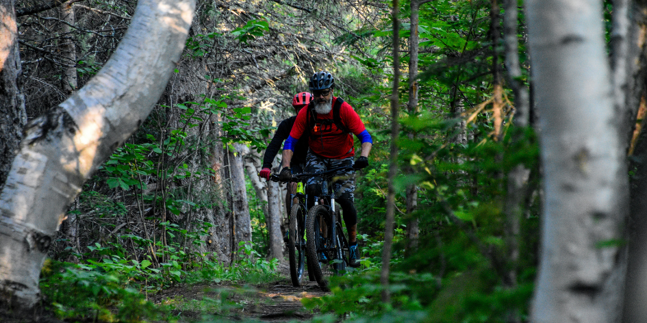 Vélo de Montagne & à pneus surdimensionnés (Fat Bike) Chaleur